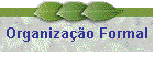 Organizao Formal