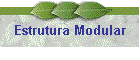 Estrutura Modular