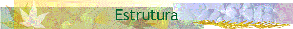 Estrutura