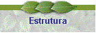 Estrutura