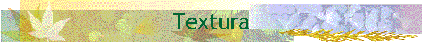 Textura